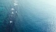 别傻了，你无法抛弃你一步步喂养的焦虑